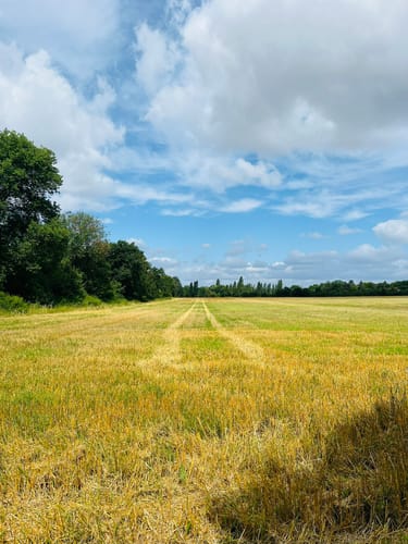 Von Alt-Pichelsdorf nach Kladow