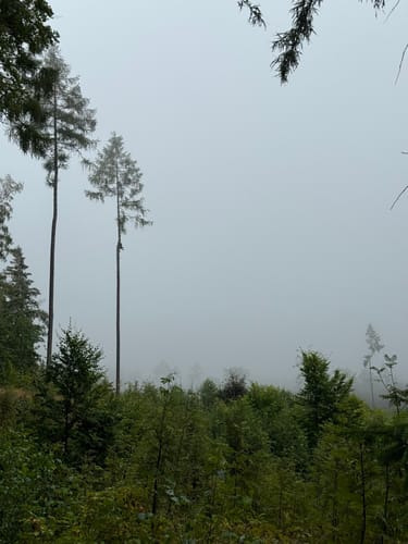 Kelchstein - Felsengasse -Töpfer Oybin