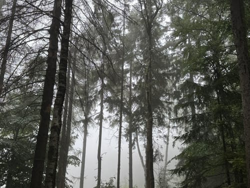 Kelchstein - Felsengasse -Töpfer Oybin