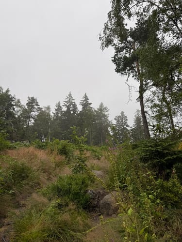Kelchstein - Felsengasse -Töpfer Oybin