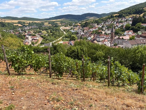 Zu den Wolfstein Burgen