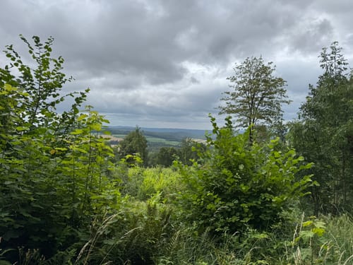 Rundwanderweg Dransfeld 4
