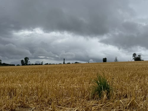 Rundwanderweg Dransfeld 4