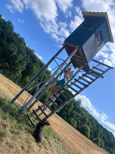 Hirn-Gallenberg-Tour (Traumschleife)
