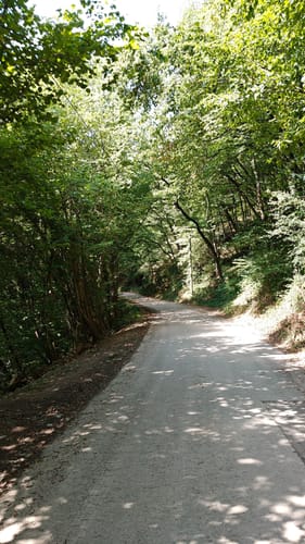 Pluwigerhammer - Hinzenburg - Ruwertal