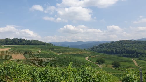 Über Urberg und durch den Kirchhofener Hohfirstwald