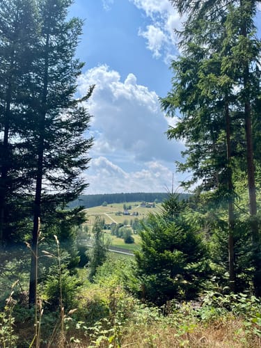 Waldpfad Groppertal (Premiumwanderweg)