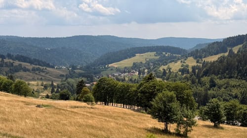 Todtmooser Lebküchlerweg (Genießerpfad)