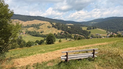 Todtmooser Lebküchlerweg (Genießerpfad)
