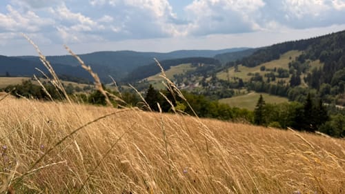 Todtmooser Lebküchlerweg (Genießerpfad)
