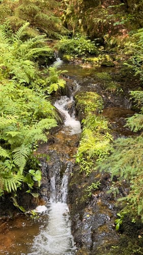 Todtmooser Lebküchlerweg (Genießerpfad)