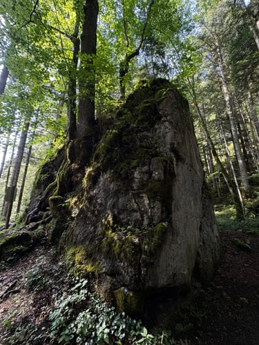 Themenweg Märchenpfad Bischofswiesen