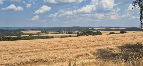 Höhlen- und Schluchtensteig Kell (Traumpfad) [CLOSED]
