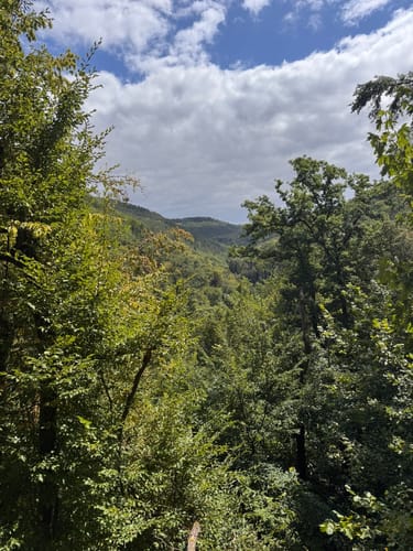 Rheinsteig Etappe 12: Braubach - Kamp-Bornhofen