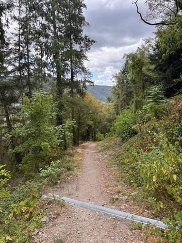 Rheinsteig Etappe 12: Braubach - Kamp-Bornhofen