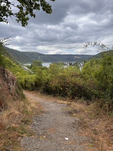Rheinsteig Etappe 12: Braubach - Kamp-Bornhofen