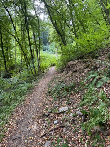 Rheinsteig Etappe 12: Braubach - Kamp-Bornhofen