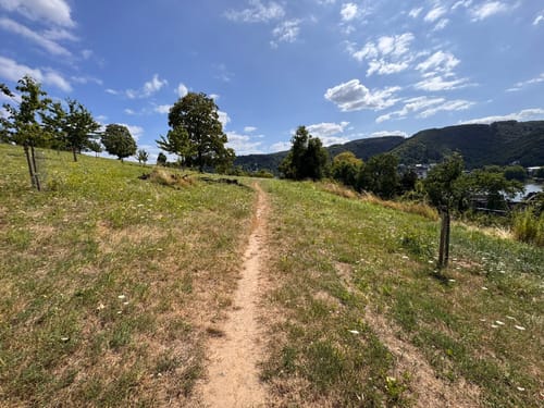 Rheinsteig Etappe 12: Braubach - Kamp-Bornhofen