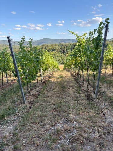 Auerbacher Schlossweg