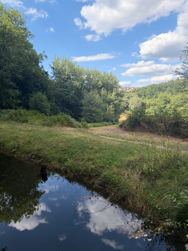 Rund um Waldbronn