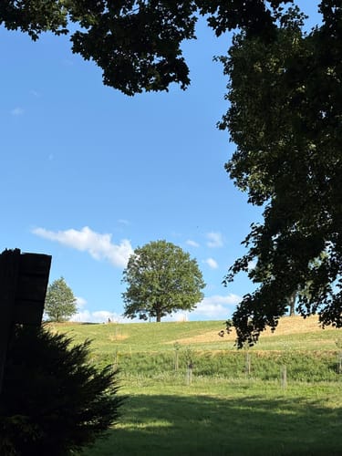 Auerbacher Schlossweg