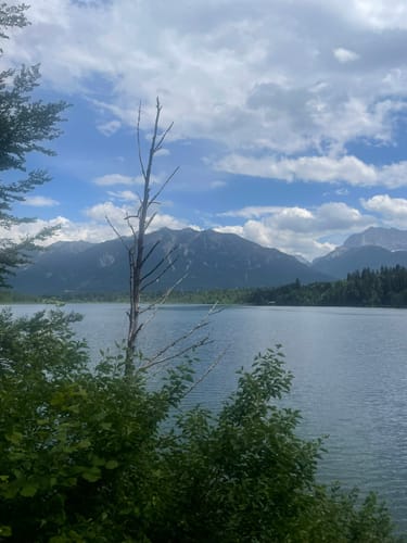 Um den Barmsee