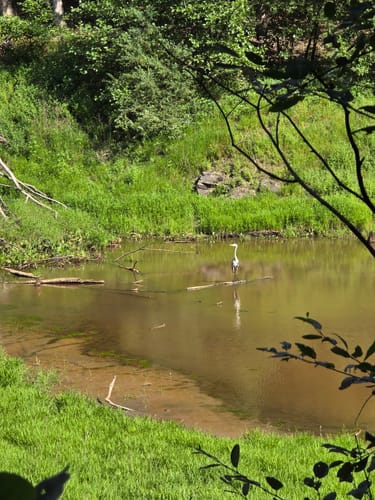 Urwald Tour (Premiumwanderweg)