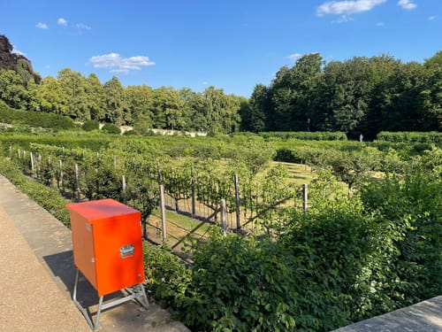 Park Sanssouci und Ruinenberg