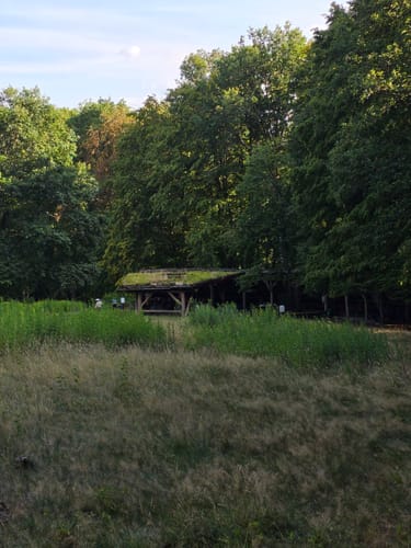 Urwald Tour (Premiumwanderweg)