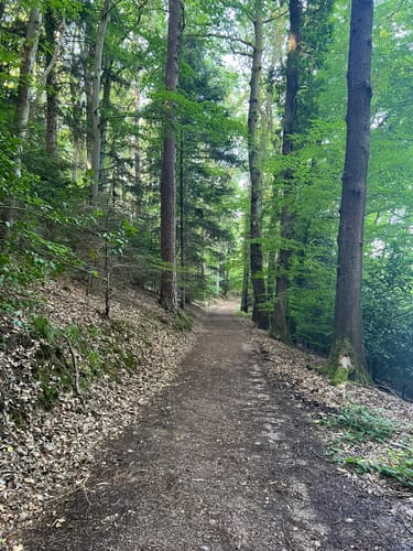 Wildgehege-Rundweg
