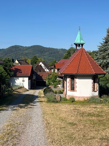 Wildgehege-Rundweg