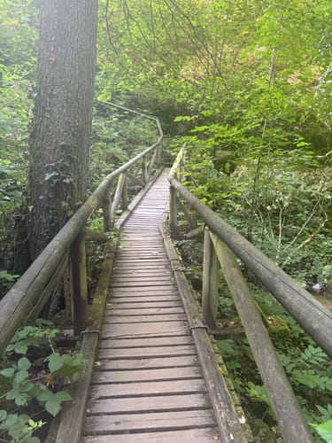 Schnapsbrunnenweg 1
