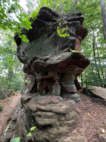 Dahner Felsenpfad (Premiumwanderweg)