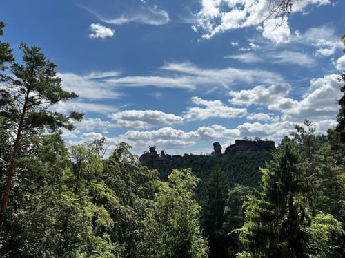 Dahner Felsenpfad (Premiumwanderweg)