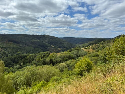 Moselachter (Moselsteig Seitensprung)