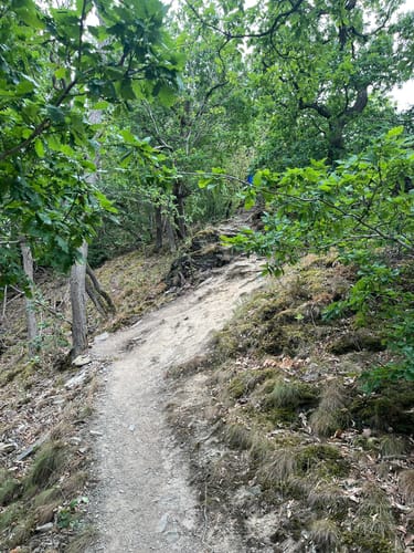 Teufelsley -  Schrock - Engelsley - Burg Are (Mayschoß bis Altenahr)