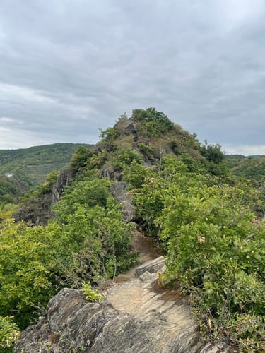 Teufelsley -  Schrock - Engelsley - Burg Are (Mayschoß bis Altenahr)