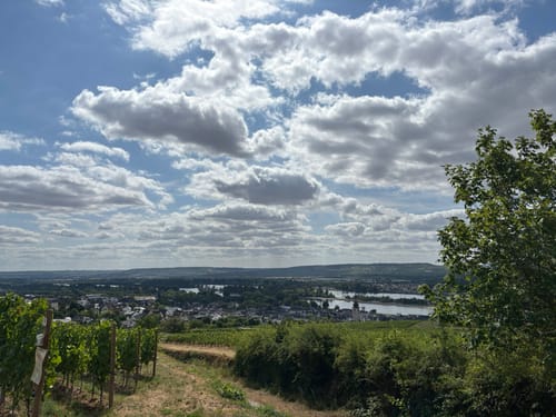 Rund um Rüdesheim am Rhein