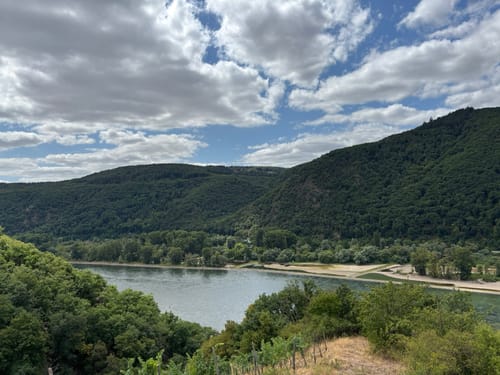 Rund um Rüdesheim am Rhein