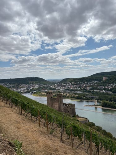 Rund um Rüdesheim am Rhein