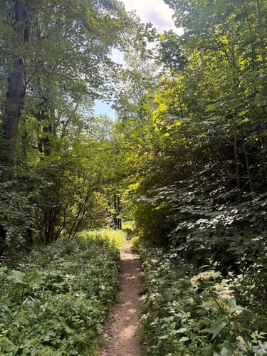 Wutachschlucht Rundweg [CLOSED]