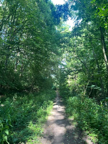 Durch die Wälder an der Rur