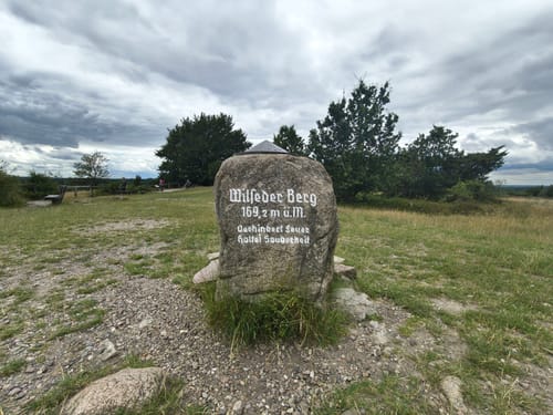 Lüneburger Heide (Traumschleife)