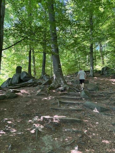 Großer Felsenmeerweg