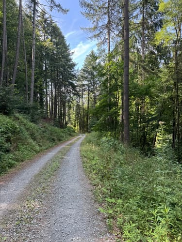 Burg-Nanstein und Kindsberg Rundweg