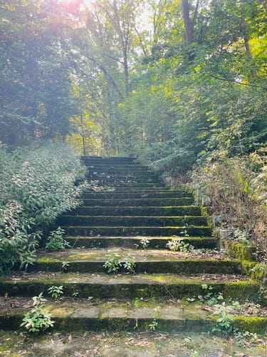 Schwanenwerder - Grunewald - Schlachtensee