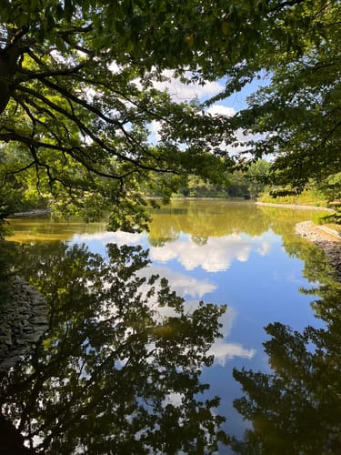 Rund um den Großen Garten in Dresden