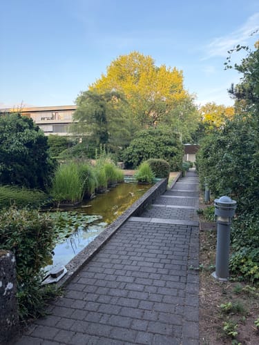 Rundweg Historischer Halberg