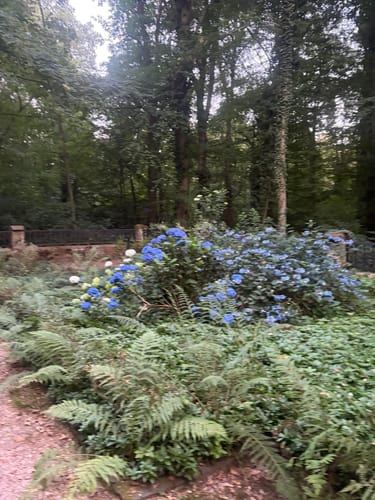 Rundweg Historischer Halberg