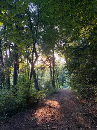 Rundweg Historischer Halberg